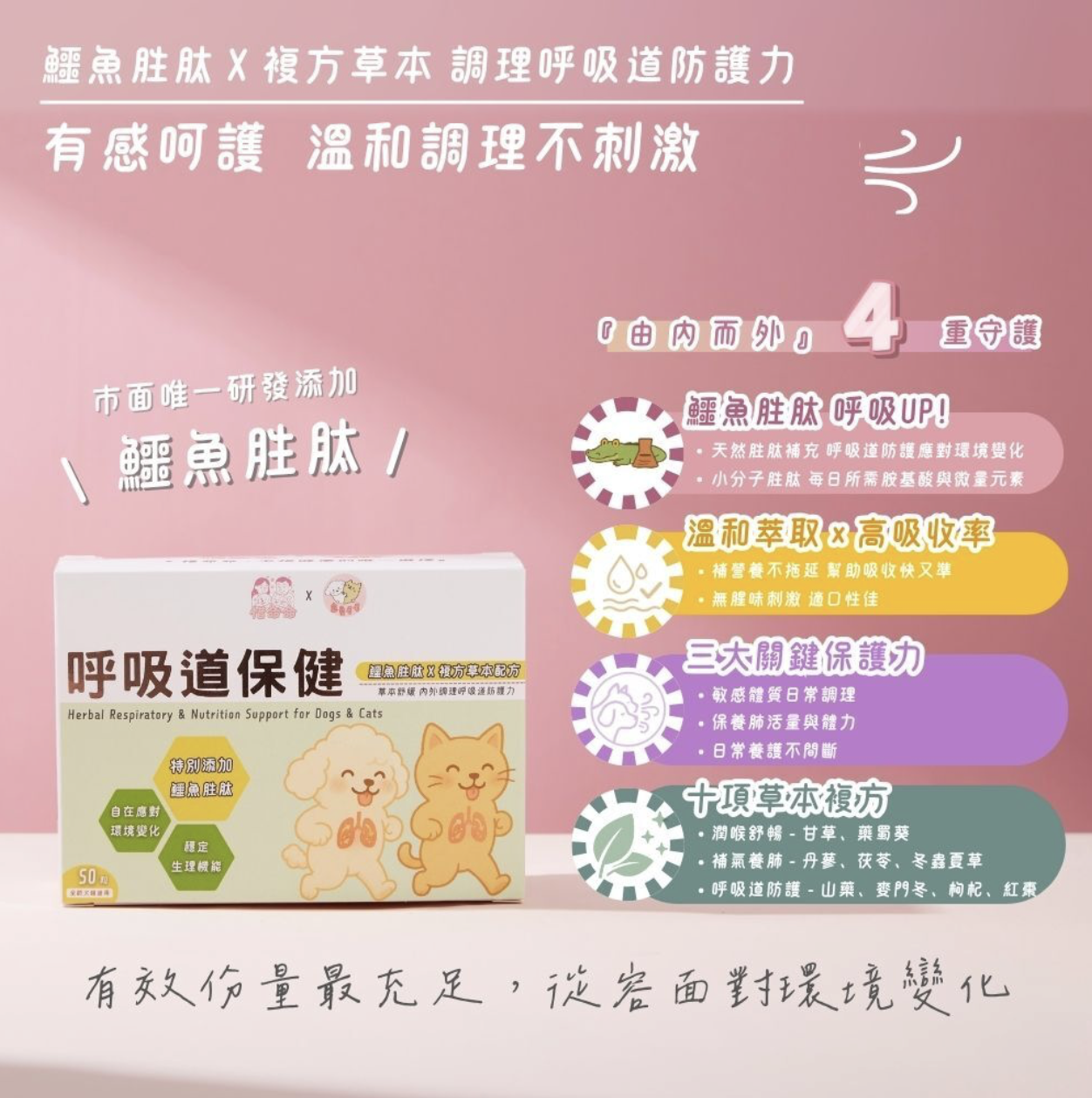 寵愛毛毛｜惜命命｜呼吸道保健