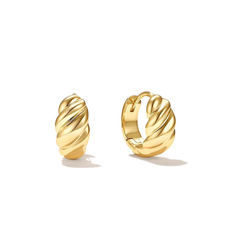 Earrings - E374