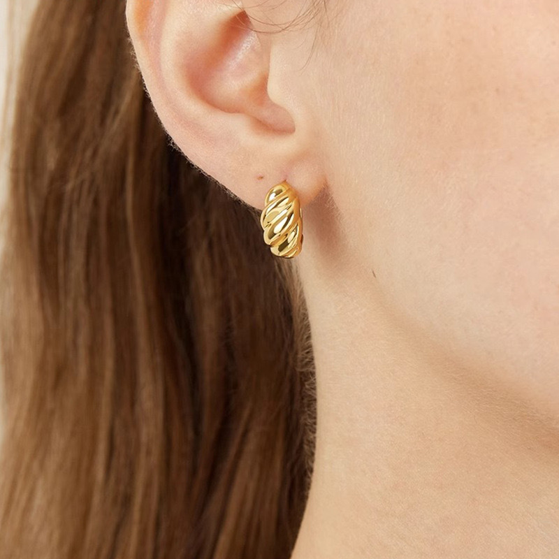 Earrings - E374