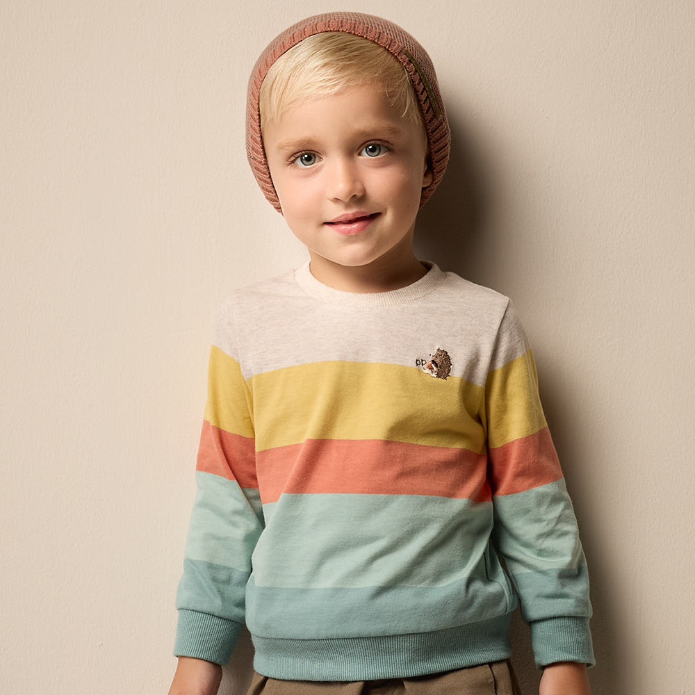 PIPPY 秋葉撞色彩條小刺蝟繡花圓領長袖上衣 綠