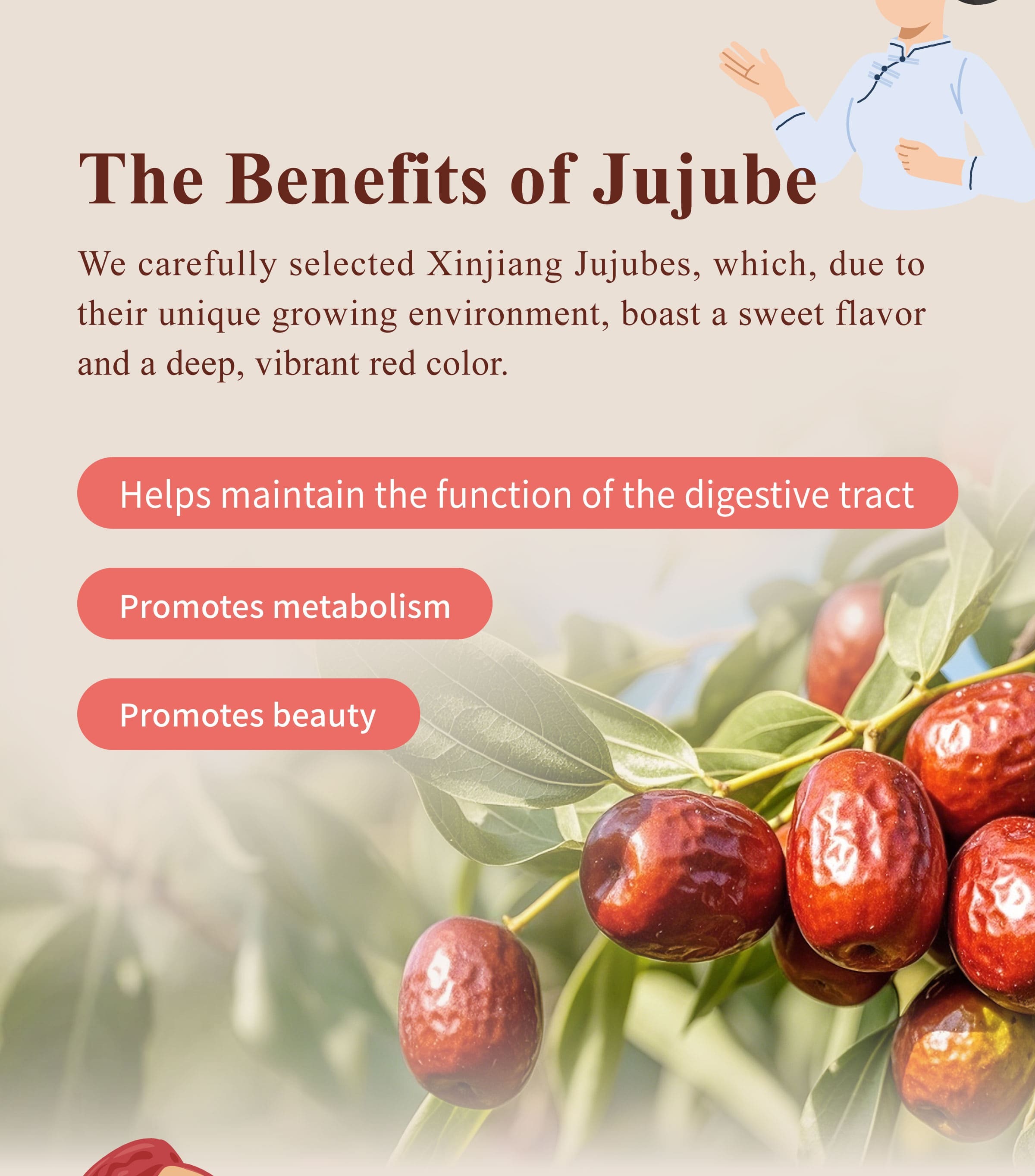 The Benefits of Dengyi Jujube