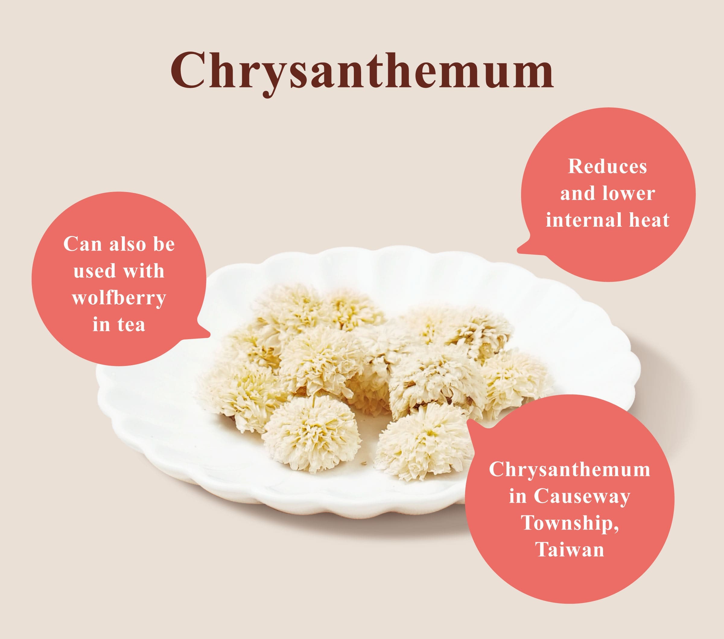 Dengyi Chrysanthemum Features