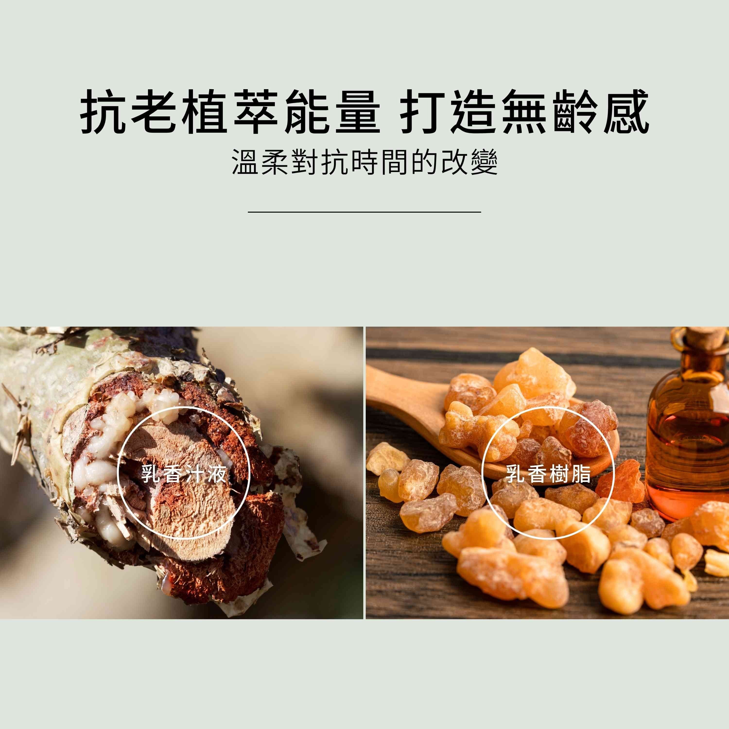 乳香奇蹟精華液注入3大抗老緊緻能量,打造無齡感