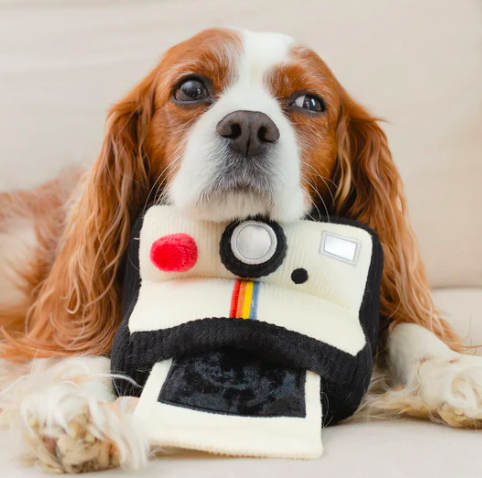 Lambwolf - 布質咬咬相機