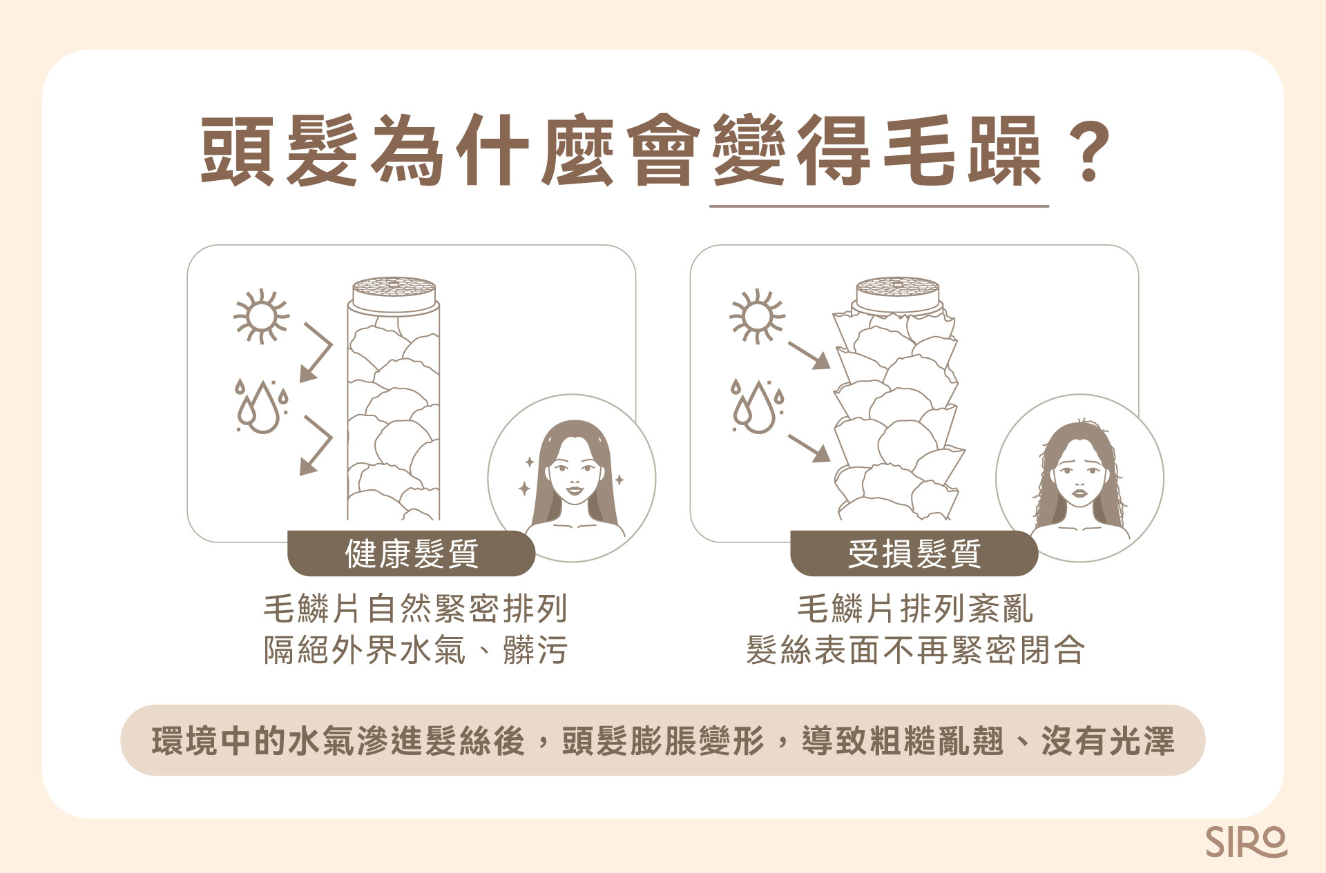 健康髮質與毛躁髮質的差異在毛鱗片狀態改變