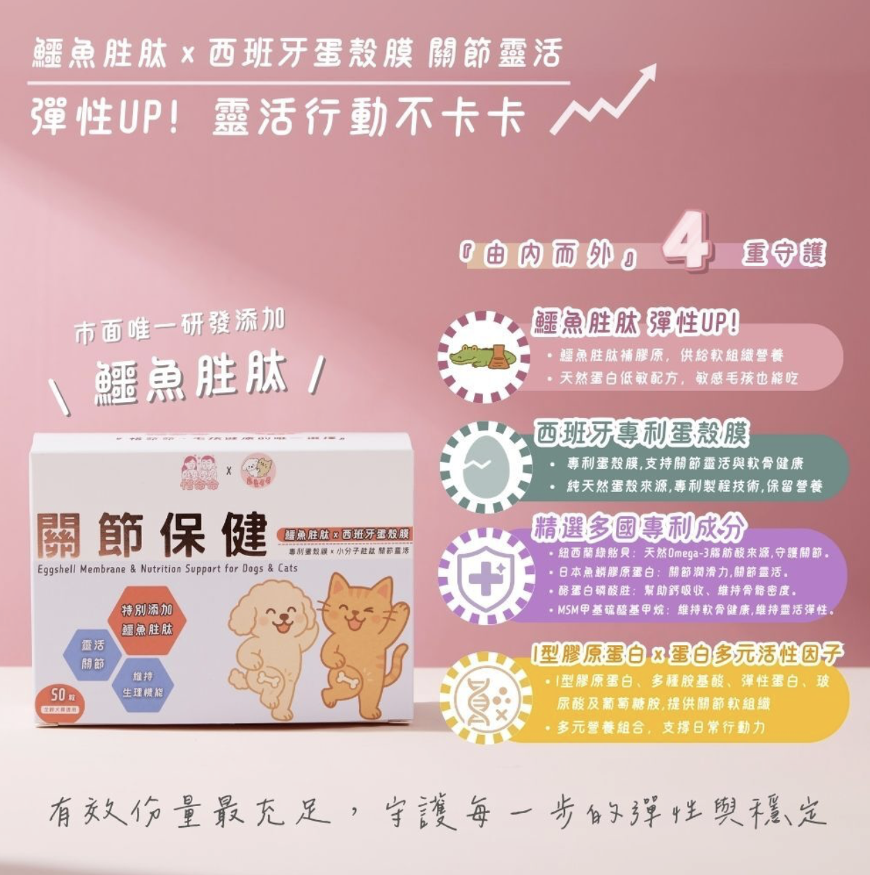 寵愛毛毛｜惜命命｜關節保健