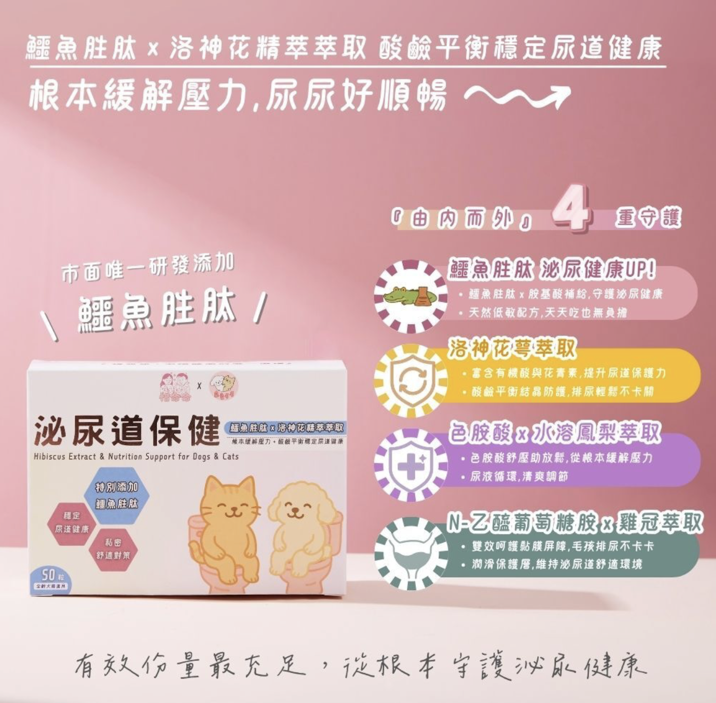 寵愛毛毛｜惜命命｜泌尿道保健