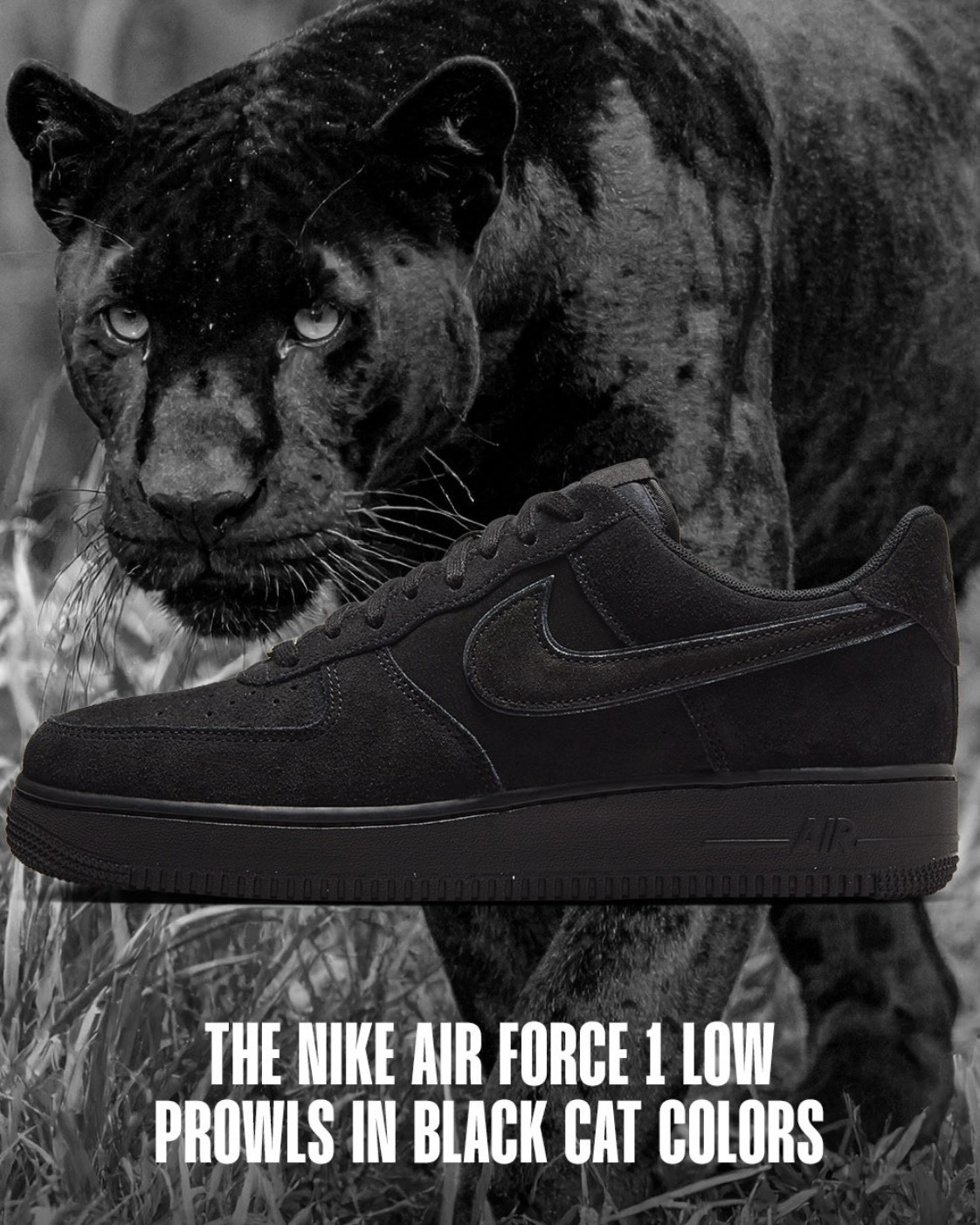 Nike Air Force 1 Low "Black Cat" 黑豹 麂皮 黑色 男女同款 HQ1966-002