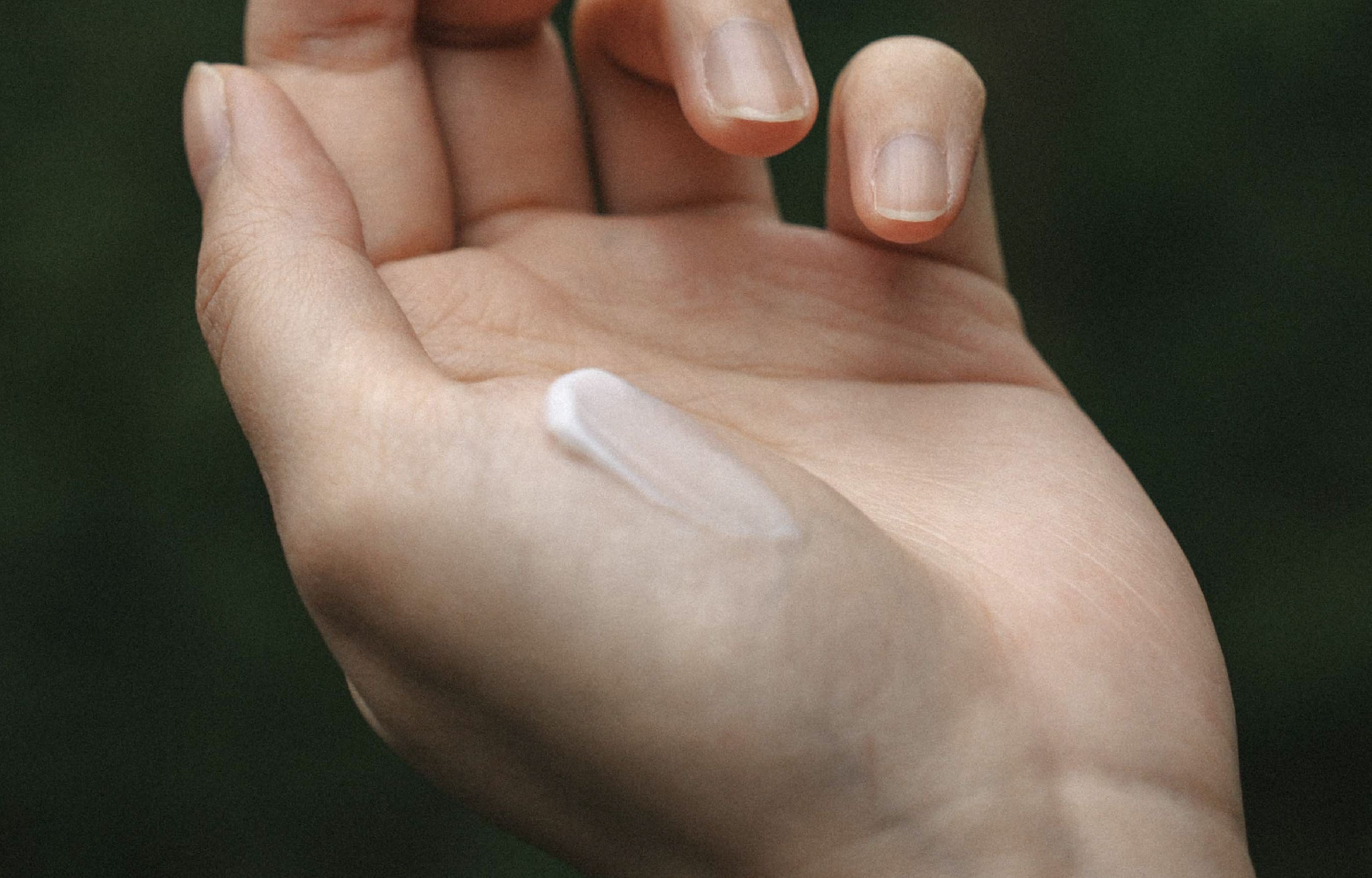 真實的透明守則