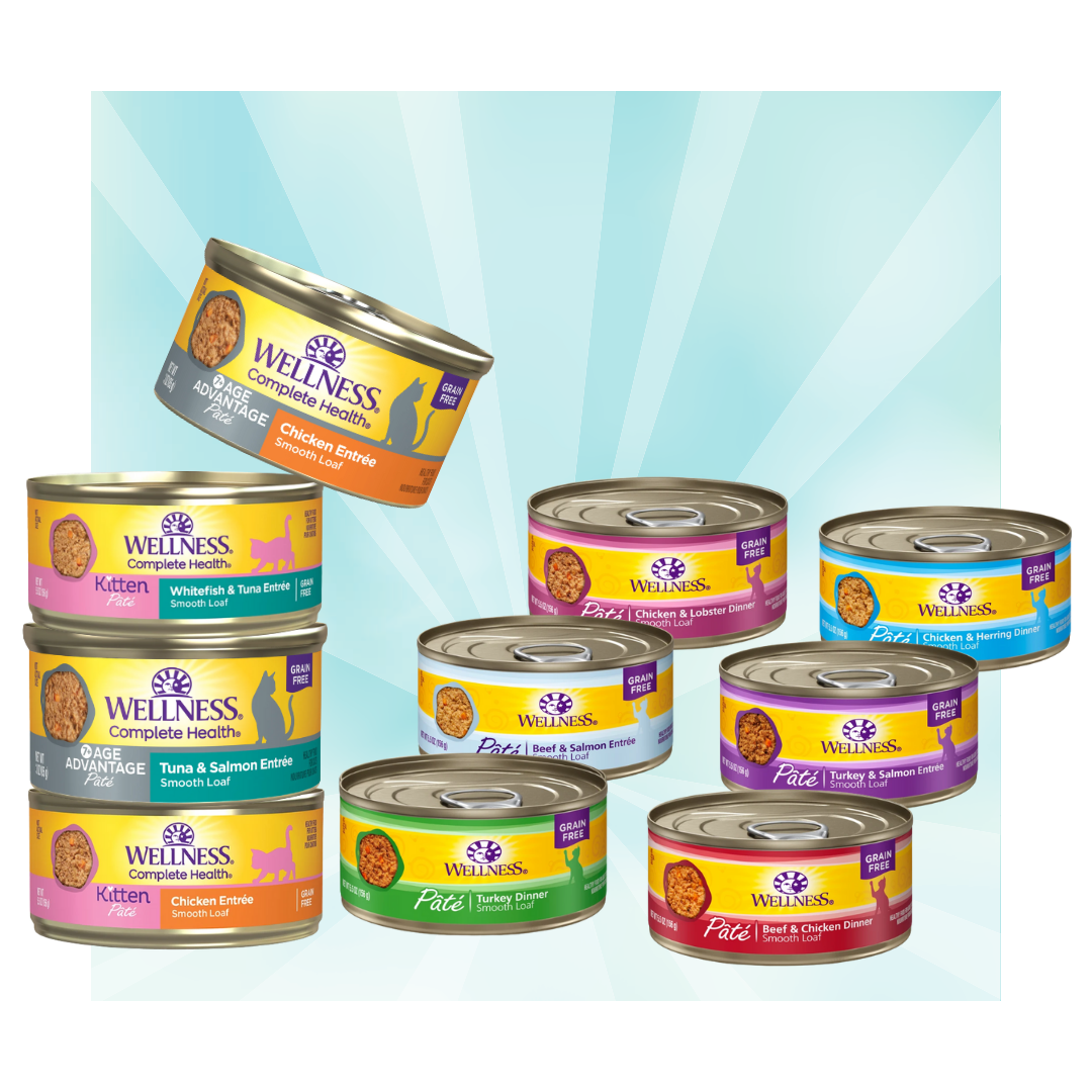 Wellness Complete Health 肉醬貓罐系列