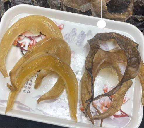 (3731)山瑞裙邊300g(約12-15隻)