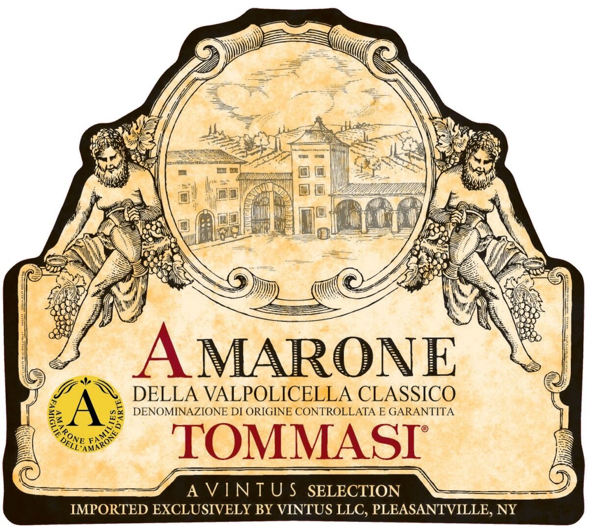 Tommasi Amarone della Valpolicella Classico 2021