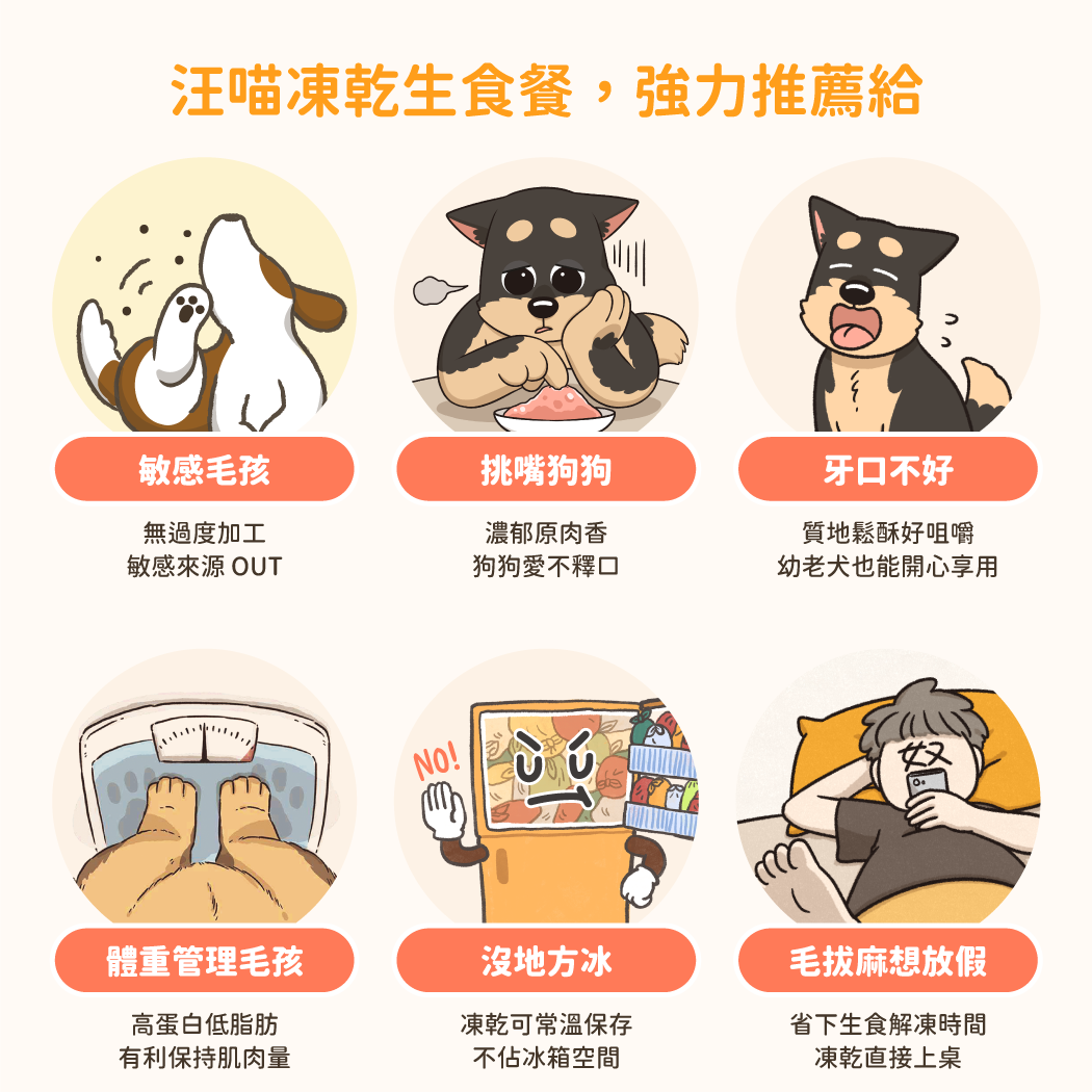 汪喵星球 安心雞肉 脫水生肉狗糧 500g