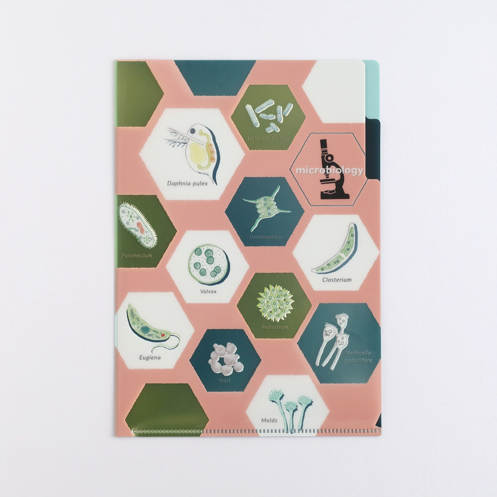 微生物學 A5 雙層資料夾｜日本STUDY HOLIC