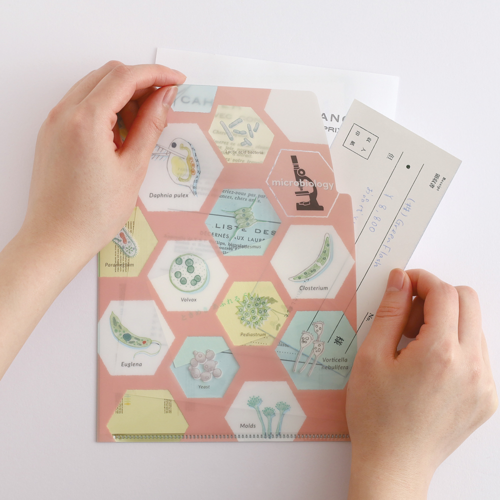 微生物學 A5 雙層資料夾｜日本STUDY HOLIC