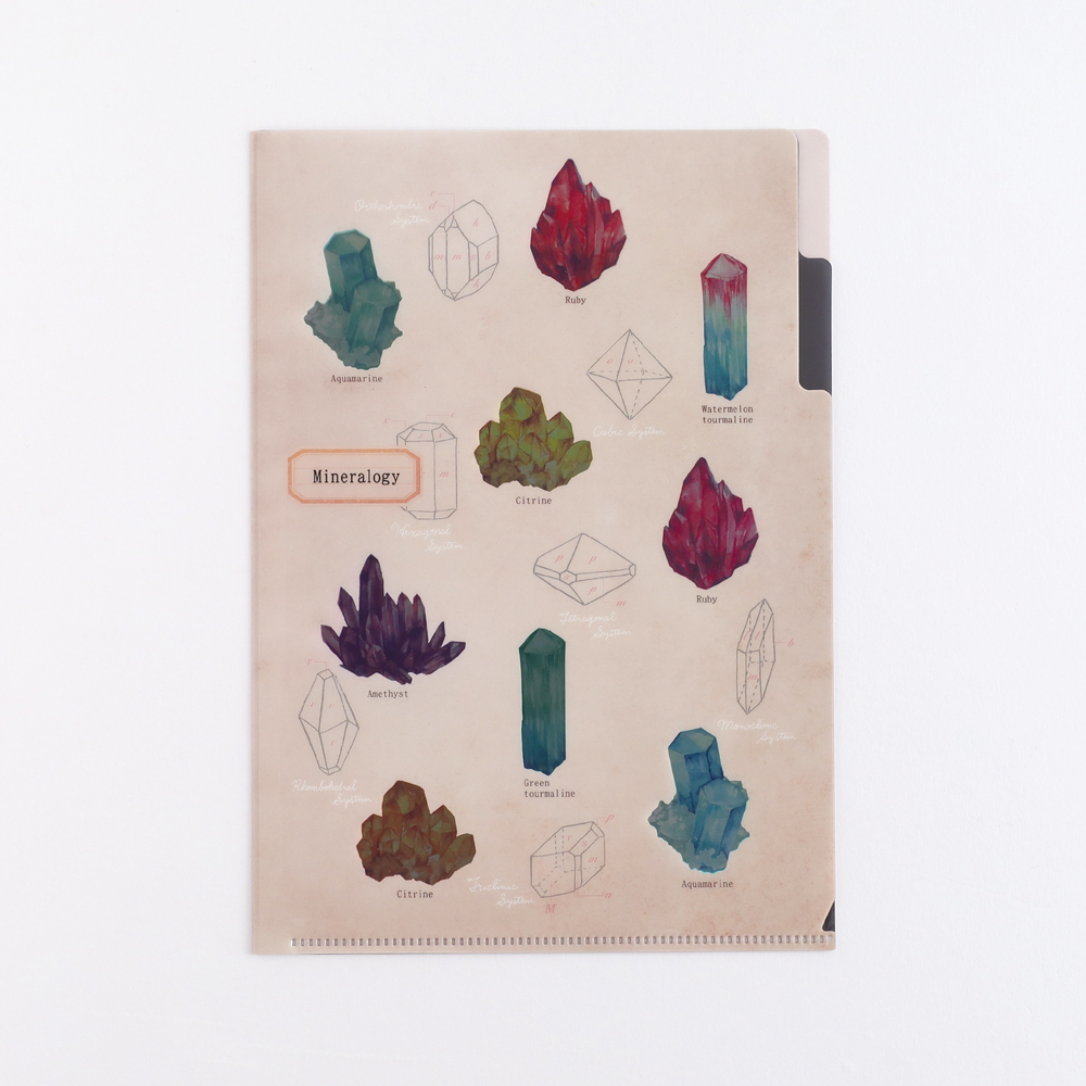 礦物學 A5 雙層資料夾｜日本STUDY HOLIC