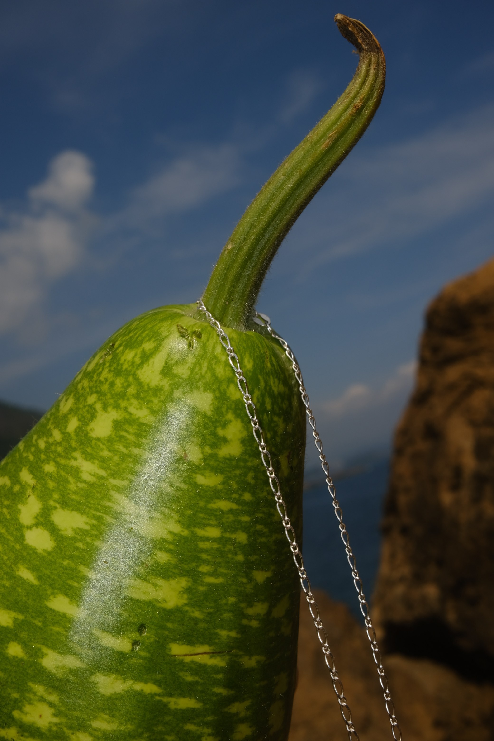 liquid dream necklace