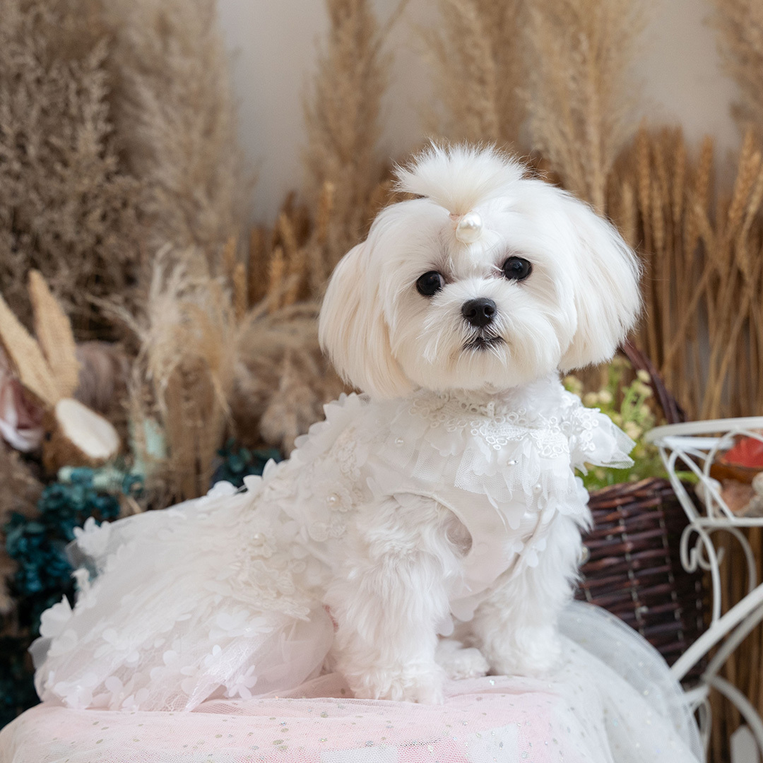 Delicated Chiffon Floral Bridal Dress