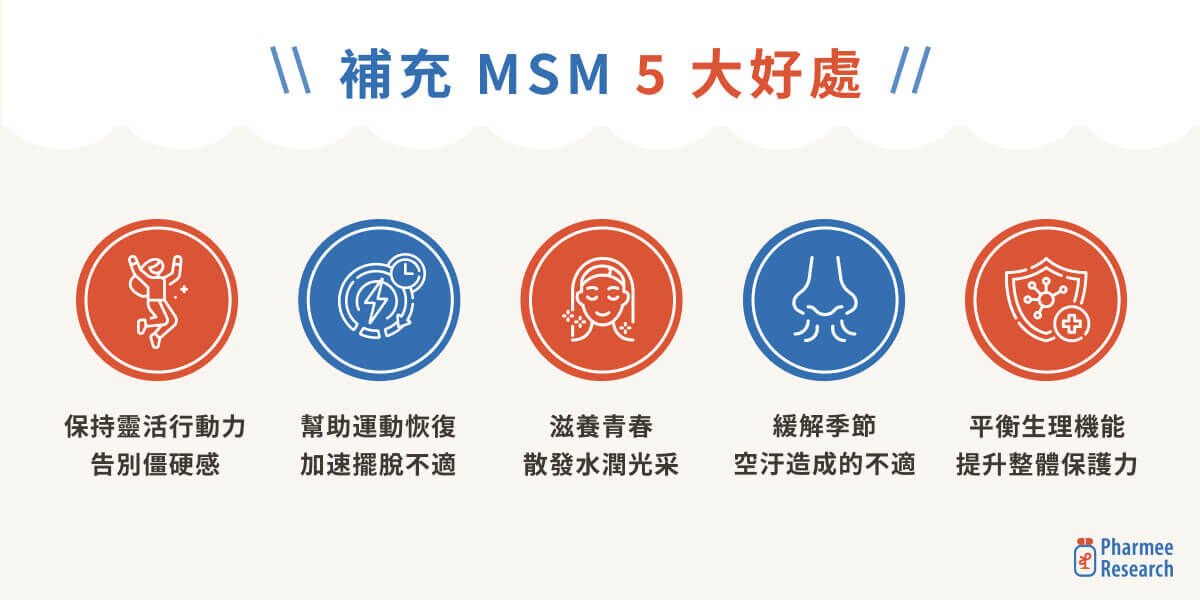 MSM 的 5 大好處