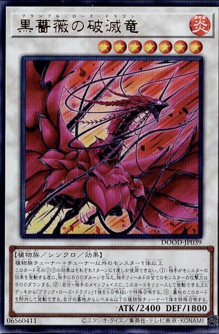 DOOD-JP039 (UR) 黑薔薇破滅龍