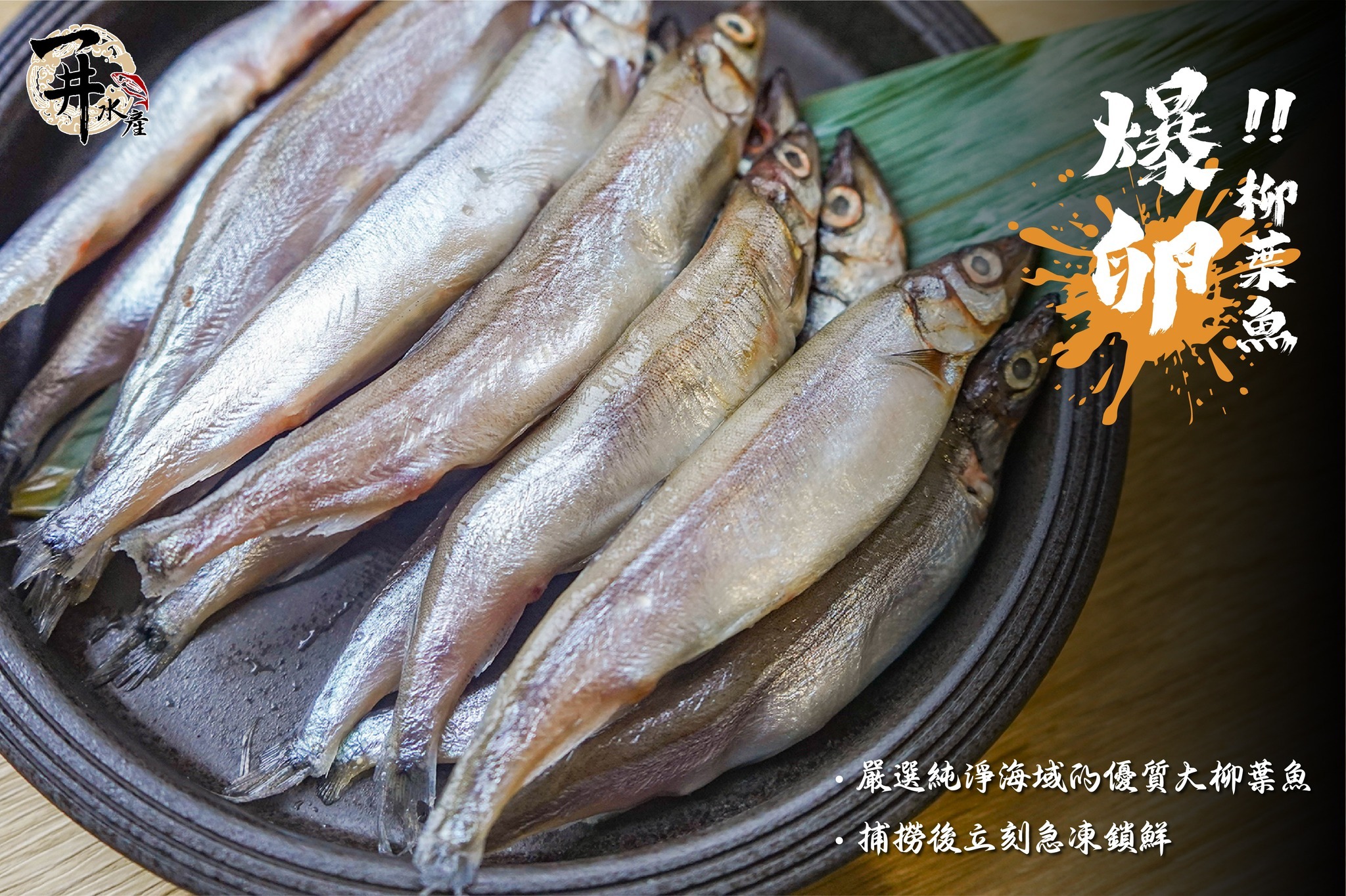 台灣 爆卵柳葉魚