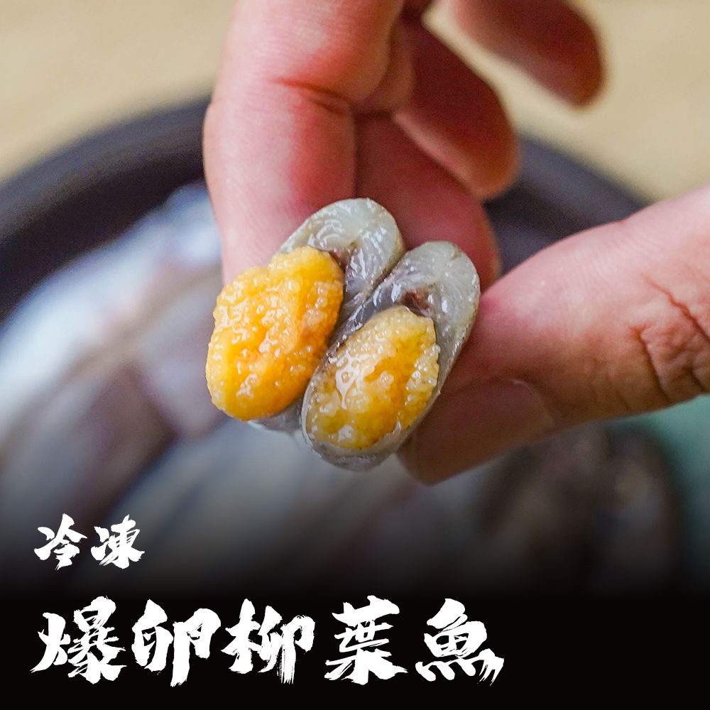 台灣 爆卵柳葉魚