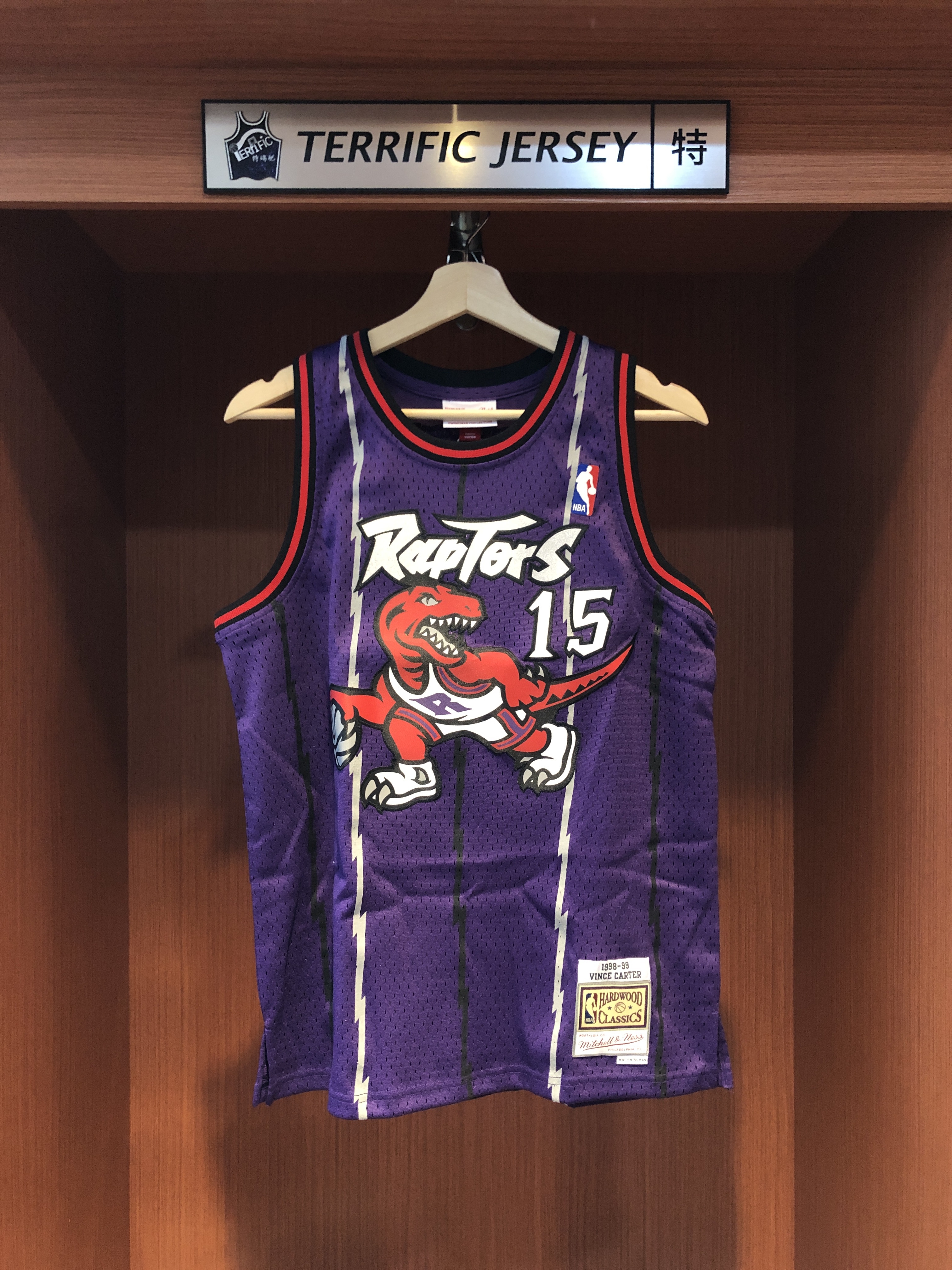 NBA球衣 Vince Carter 多倫多暴龍 復古 紫大圖 M&N Youth Swingman 球迷版 青年版 電繡 全新