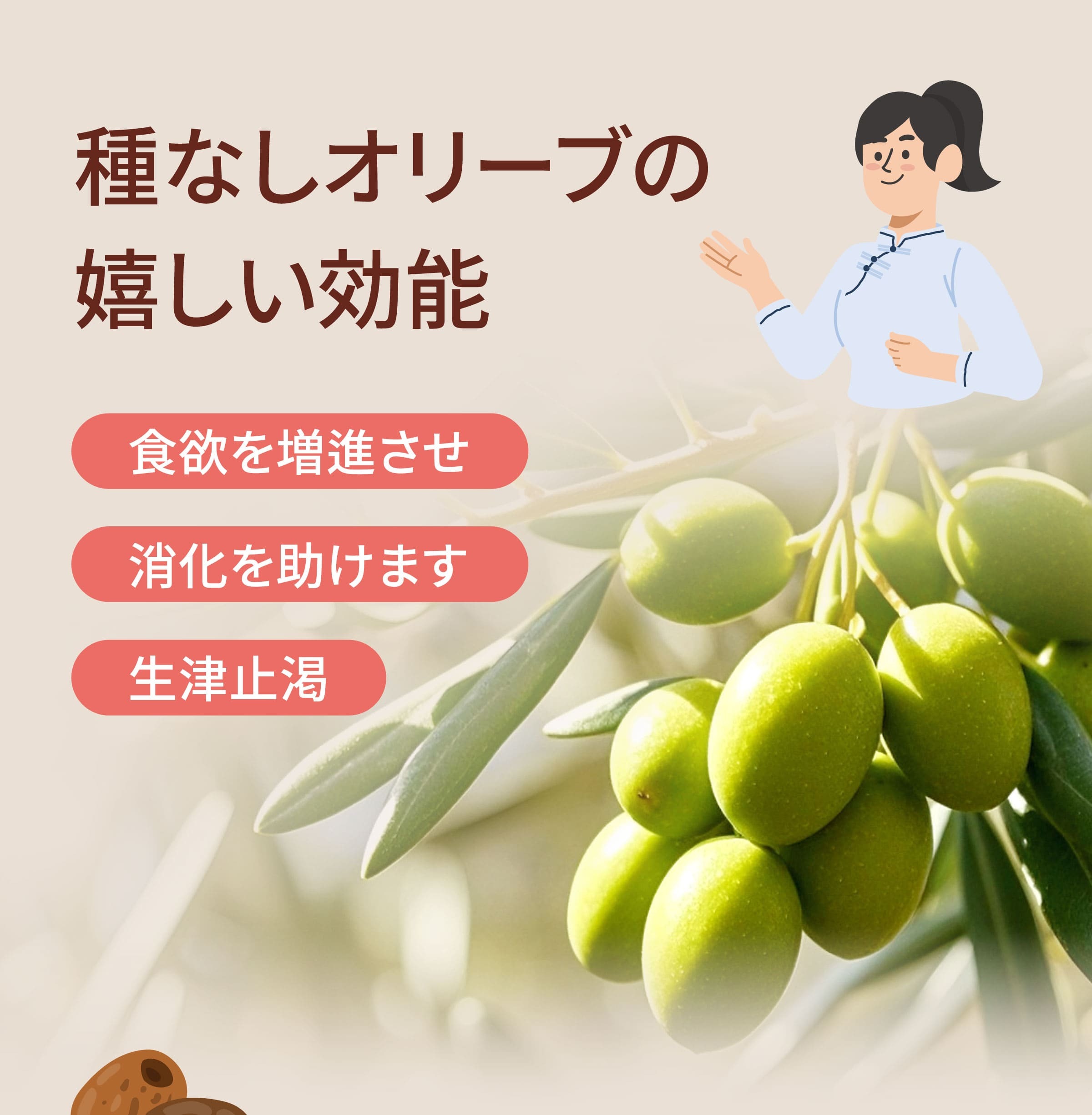 ラグビー の紹介