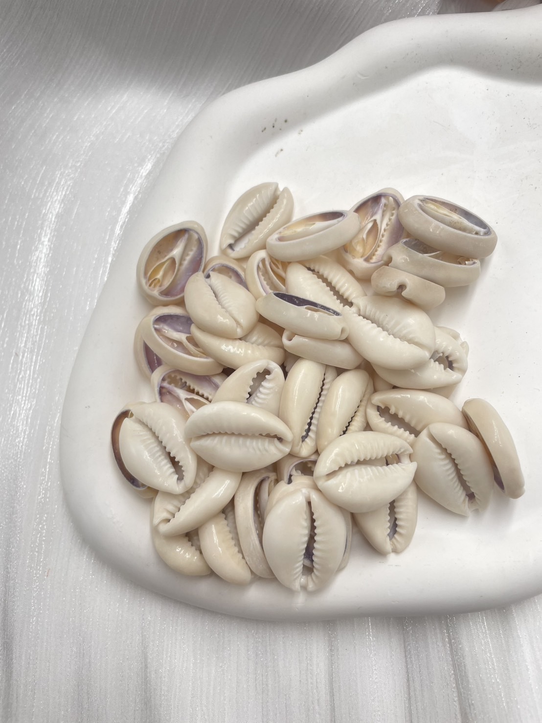 打孔貝殼-大2.5cm約100顆