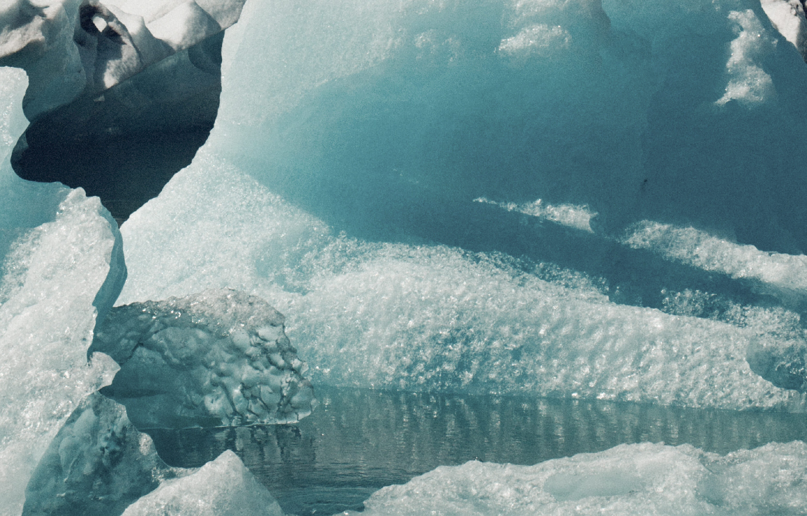 Algae Extract 極地冬眠雪藻