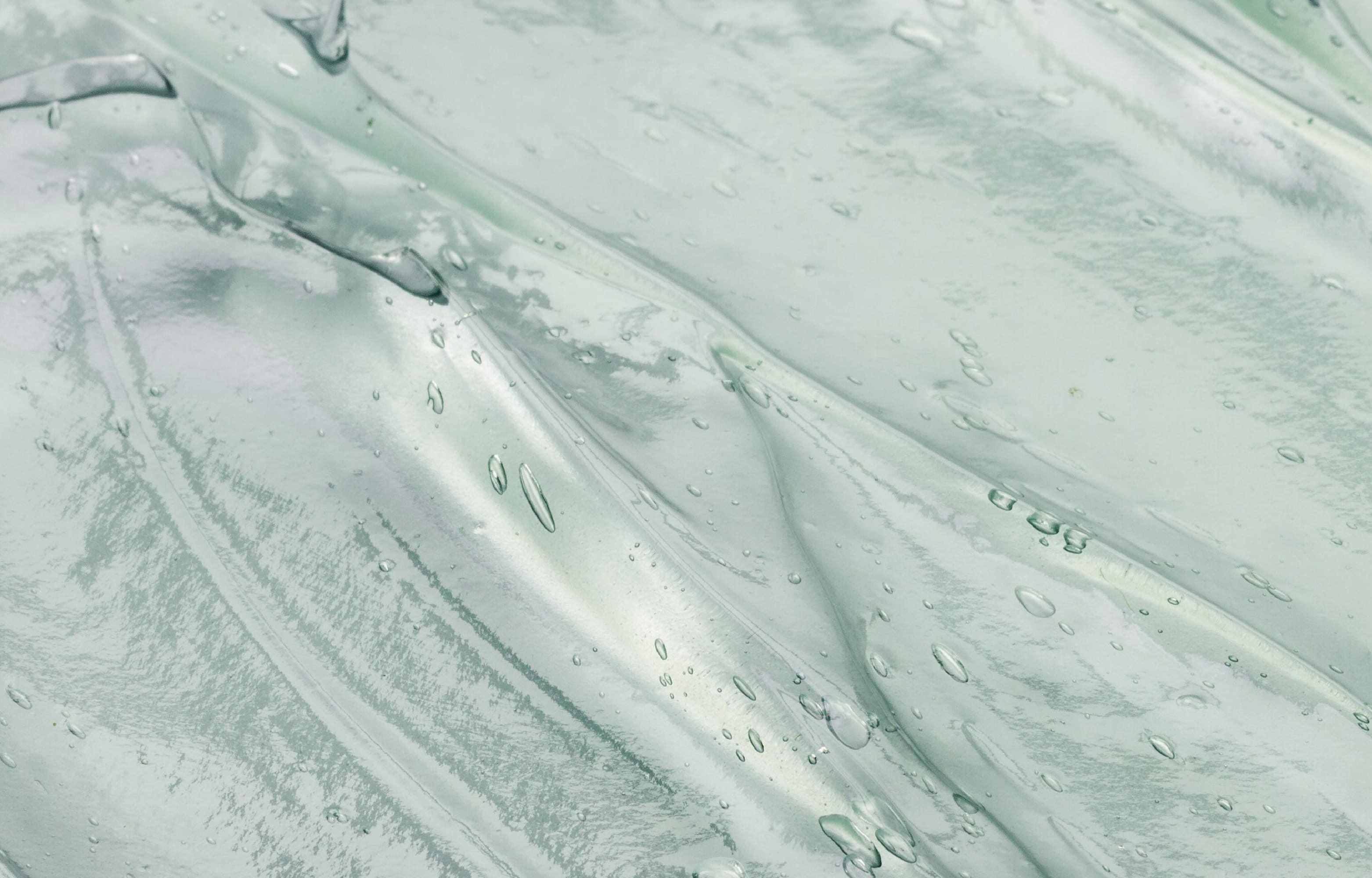 美國與瑞士的雙胜肽