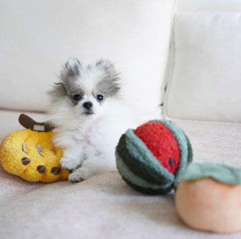 Lambwolf- Watermelon POP