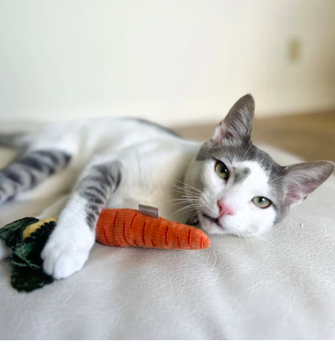 Lambwolf - Baby Carrot For Cat //  Cat Nips