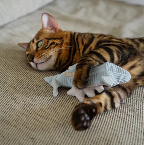 Lambwolf - Kitty Trout - Squeaky+Crinkly