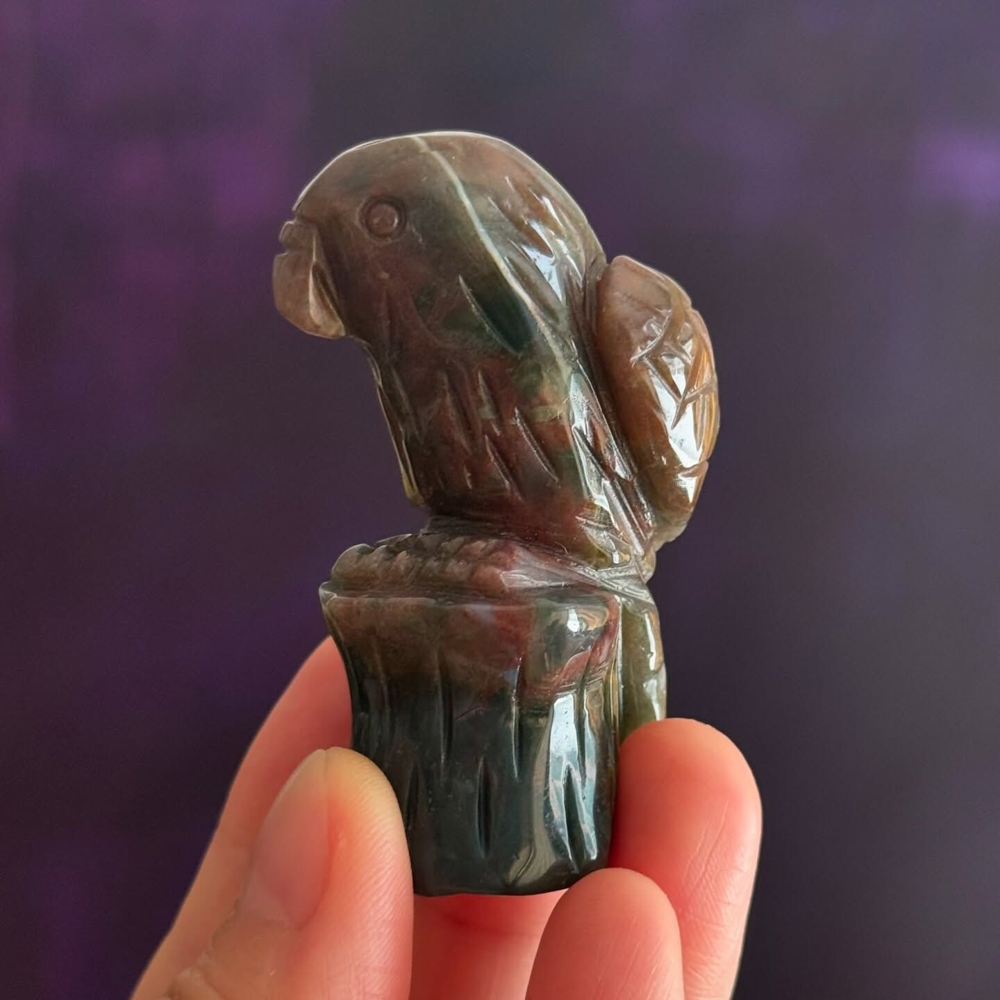 [原石] 海洋碧玉 小鸚鵡