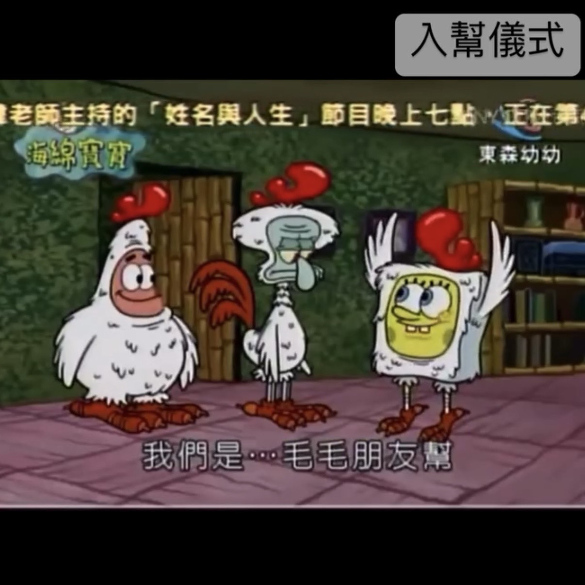 毛毛朋友幫 派大星娃娃 派大雞