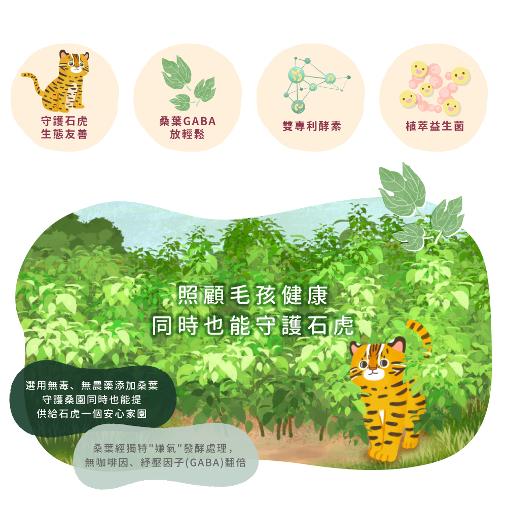 貪貪FUN桑排毛粉獨家添加GABA桑葉