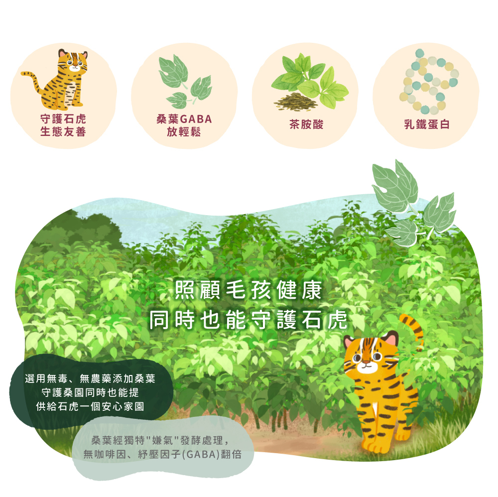 貪貪FUN桑乳鐵離胺酸添加GABA桑葉