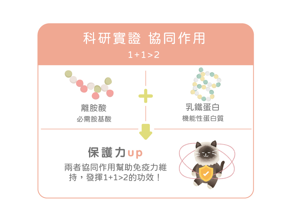 貪貪FUN桑乳鐵離胺酸全方位保護力提升