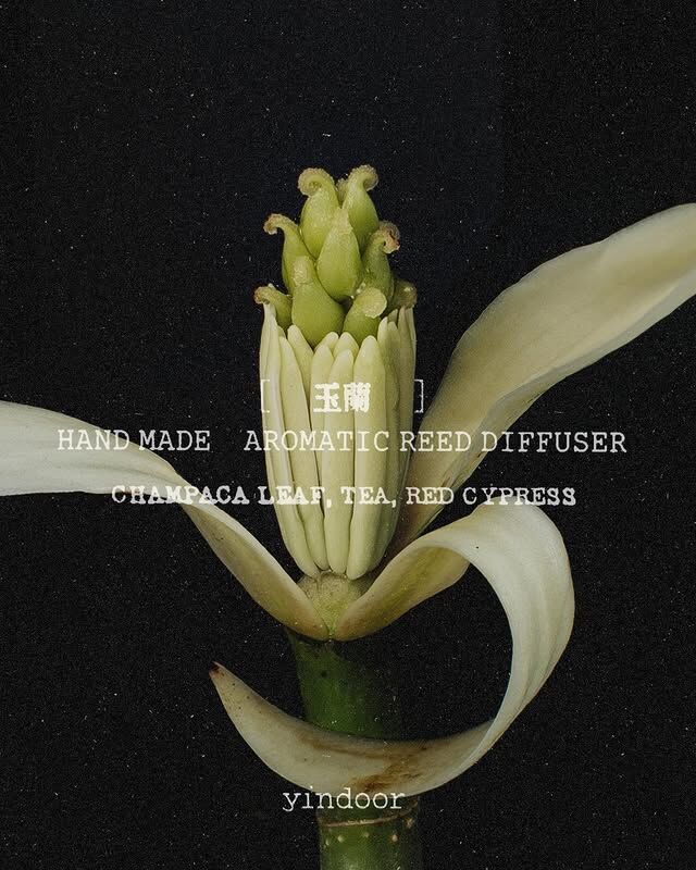 yindoor | 室內擴香 | 玉蘭