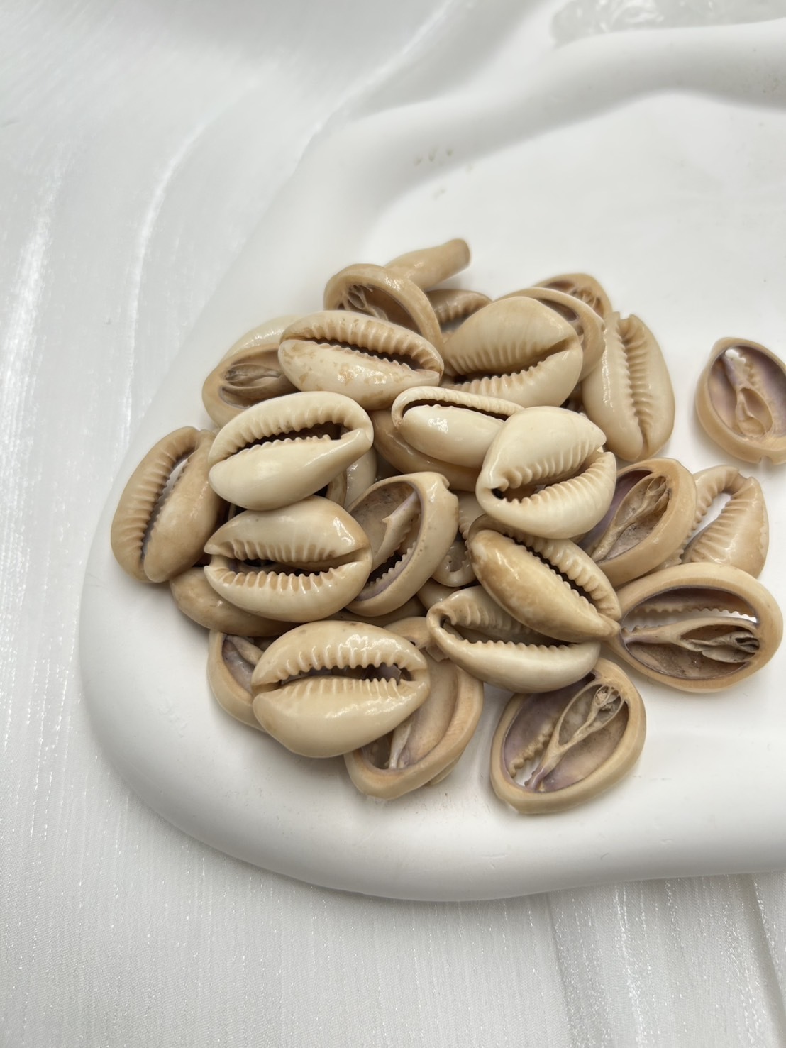 打孔貝殼-大2.7cm約10顆