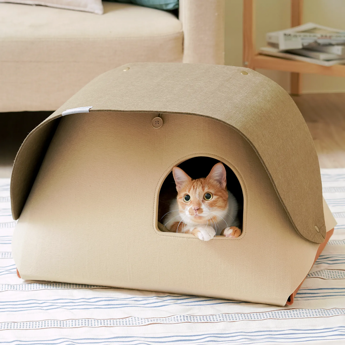 貓帳篷-原木森林