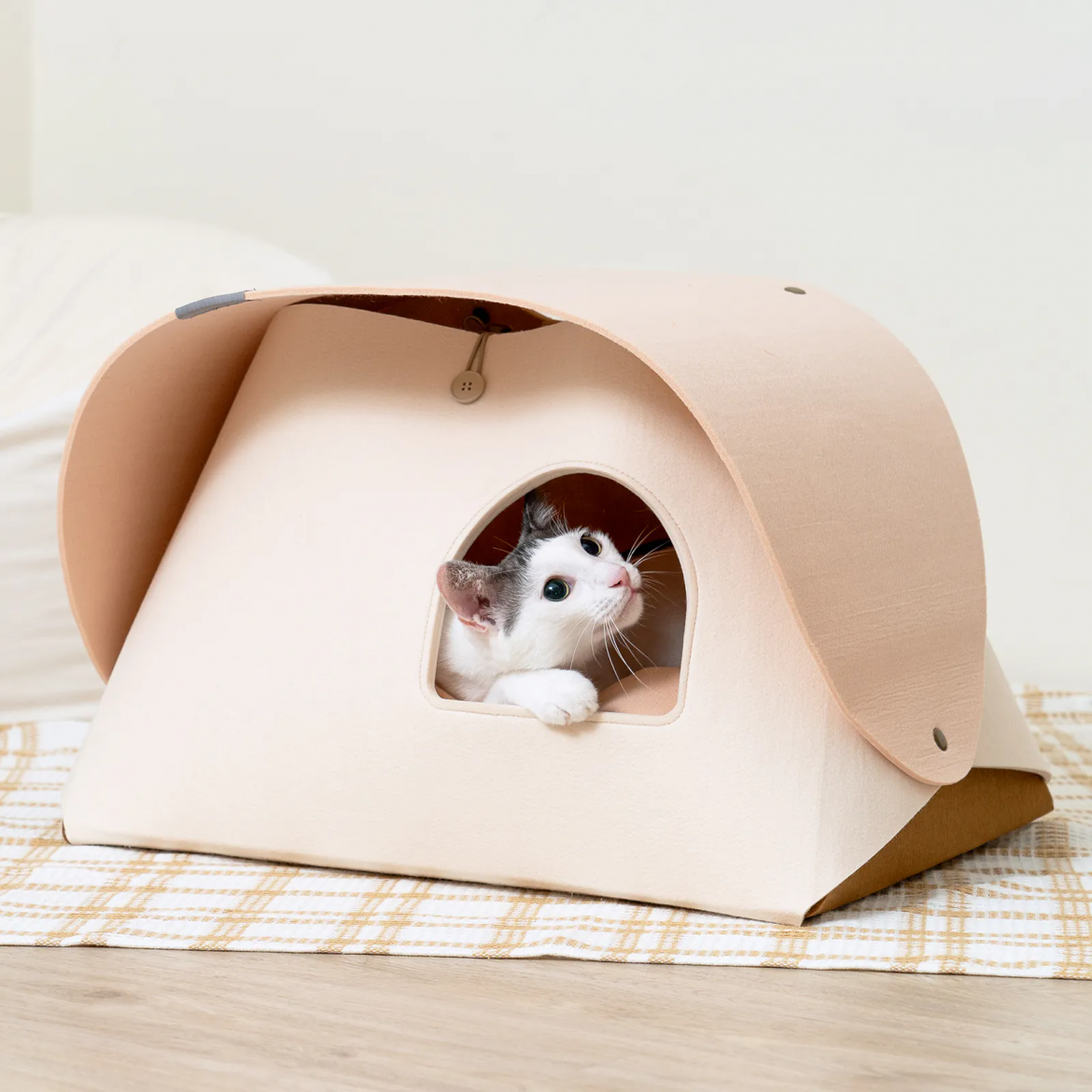 貓帳篷-奶油沙漠