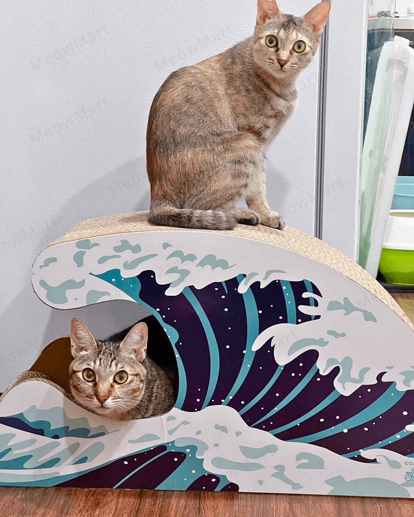台灣CO.CO.CAT酷酷貓｜海浪貓抓板