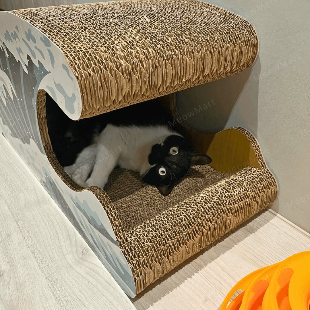 台灣CO.CO.CAT酷酷貓｜海浪貓抓板