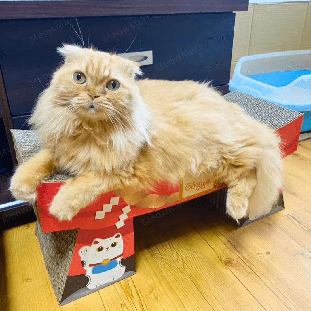 台灣CO.CO.CAT酷酷貓｜鳥居貓抓板