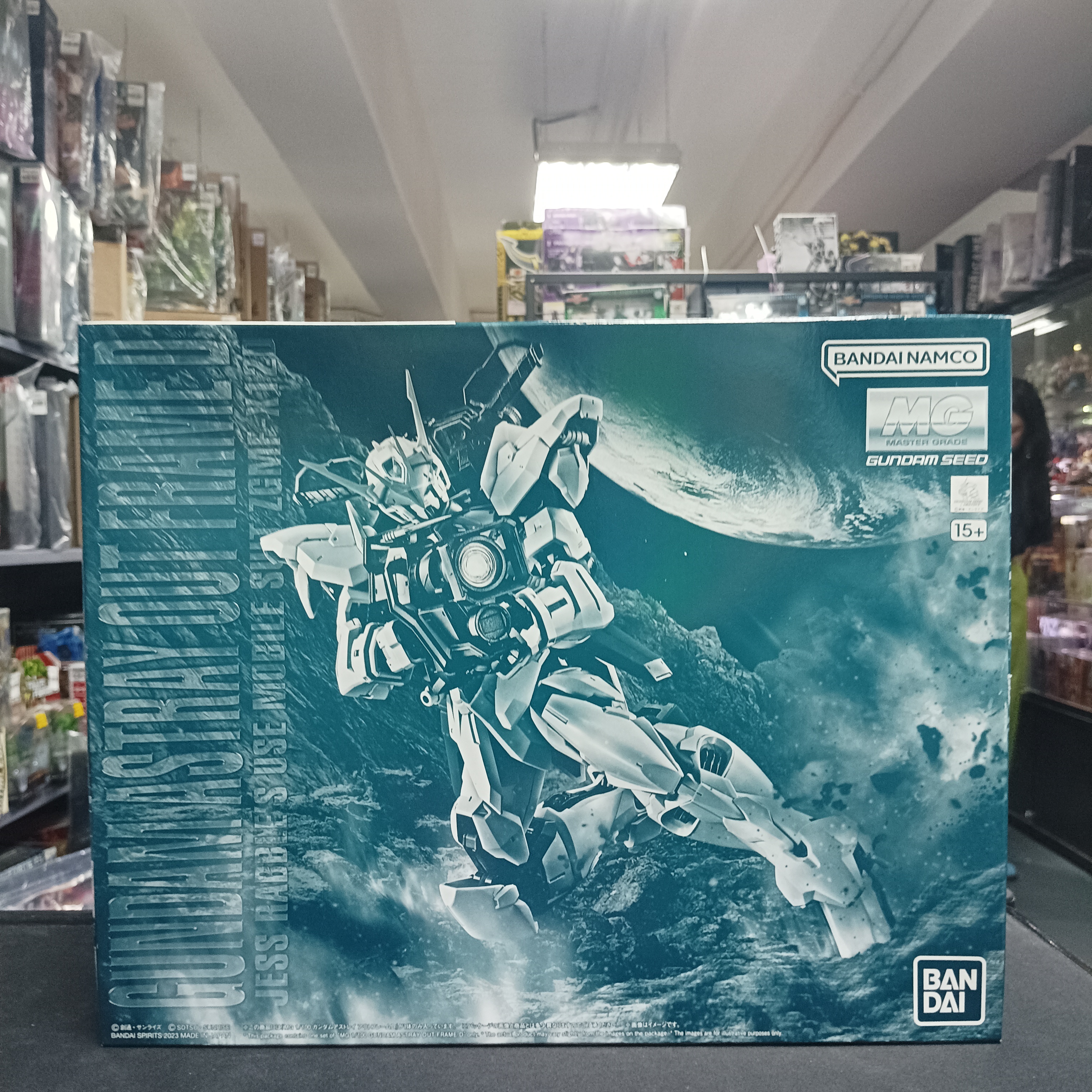 寄賣-MG 1/100  GUNDAM ASTRAY OUT FRAME D