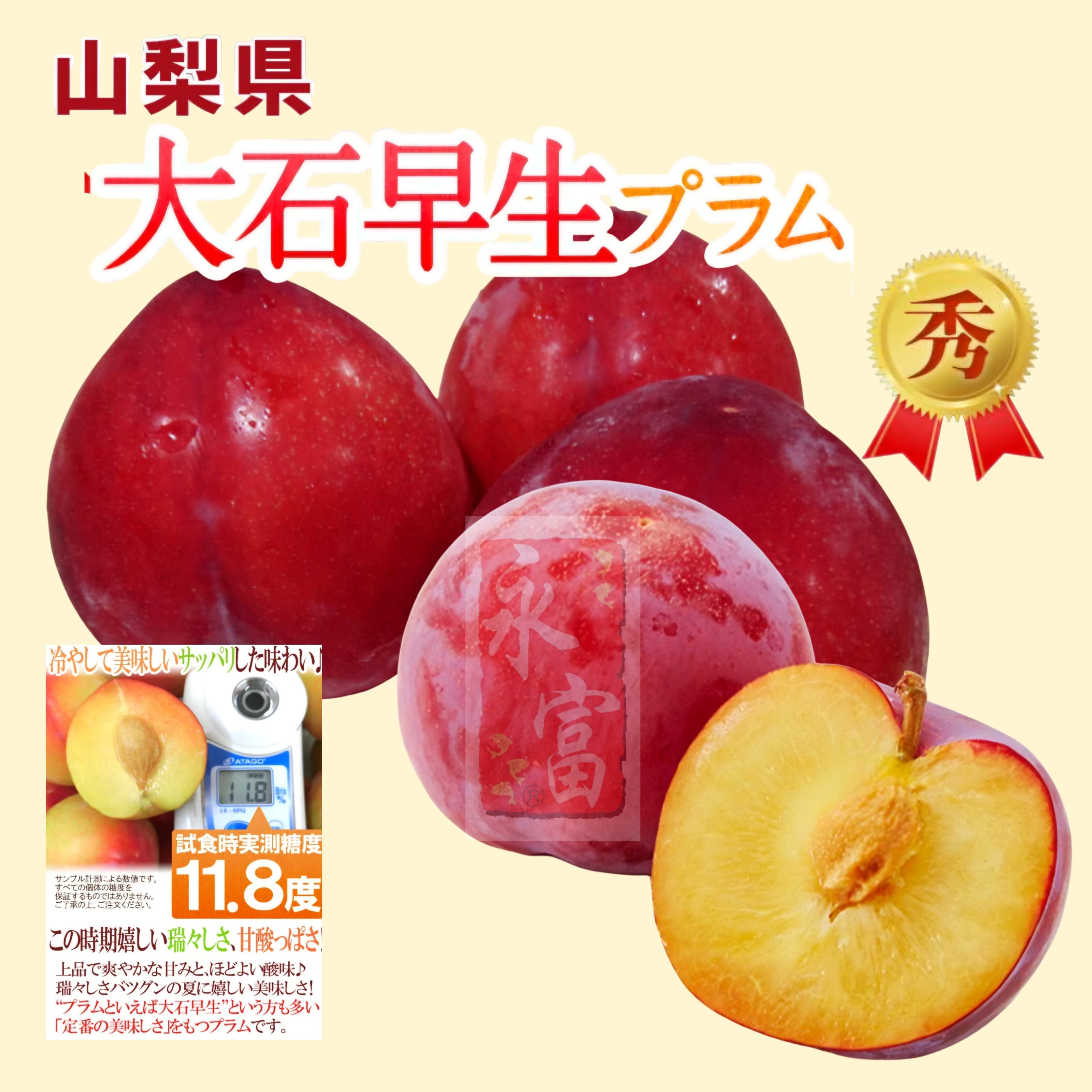 日本山梨縣大石布冧(5粒)