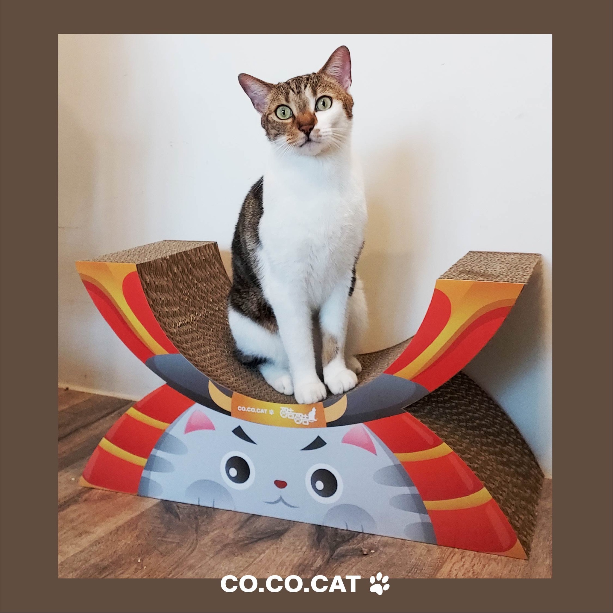 台灣CO.CO.CAT酷酷貓｜武士貓貓抓板