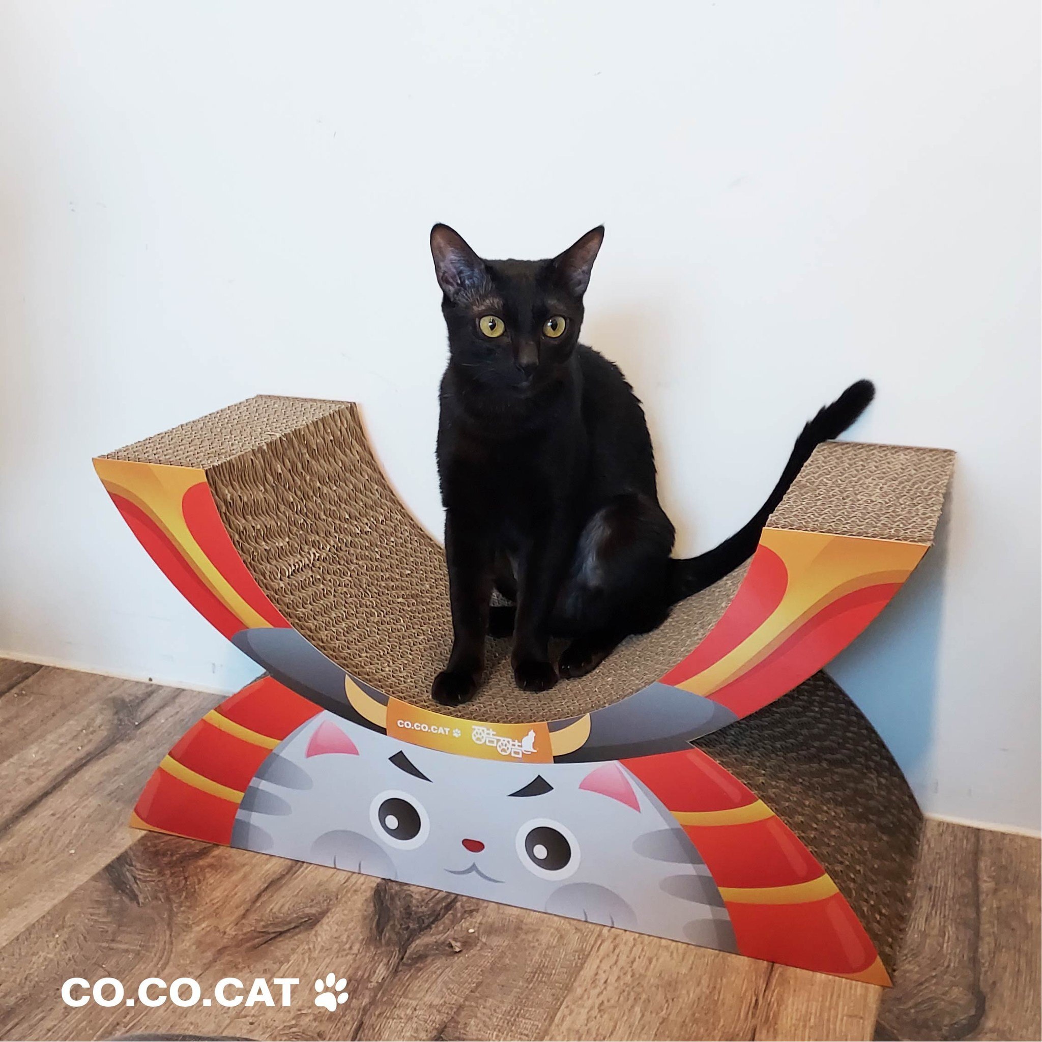 台灣CO.CO.CAT酷酷貓｜武士貓貓抓板